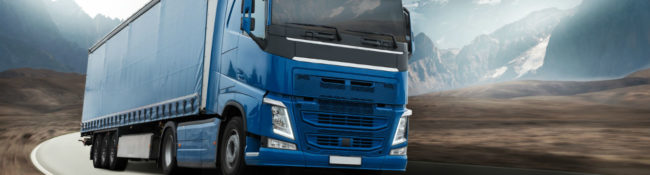 Spécialiste du transport urgent de la palette au lot complet en passant par le transport d'engin par convoi exceptionnel à travers l'Europe