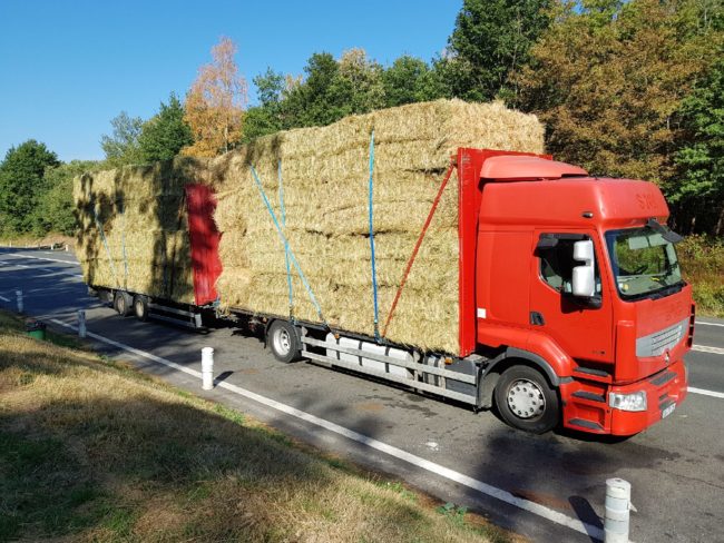 Transport Express de Fourrage : Livraison Rapide de Foin, Paille et Autres en France | UrgenceTransport.fr