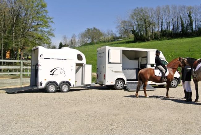 Transport Urgent Express de Chevaux en France - Service Fiable et Sécurisé | UrgenceTransport.fr