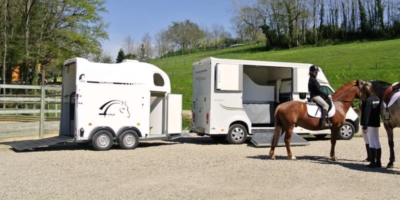 Transport Urgent Express de Chevaux en France - Service Fiable et Sécurisé | UrgenceTransport.fr